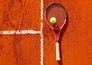 Tennis: ATP 500 - ABN Amro Open
