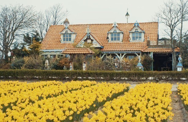 Typisch Bollenstreek