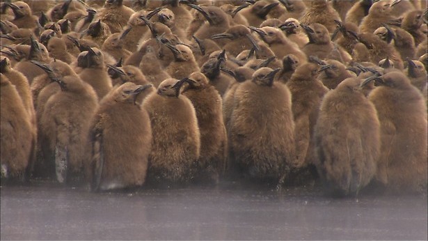 De Zuidpool als dansvloer