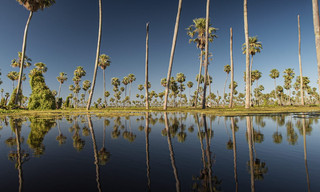 Wild Argentina: Extreme Earth