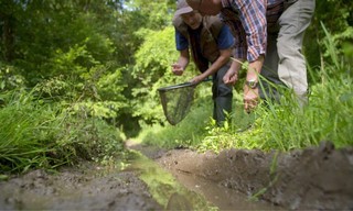 Wildernis onder water