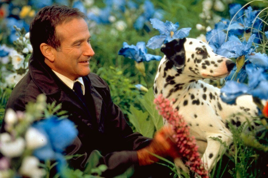 What Dreams May Come