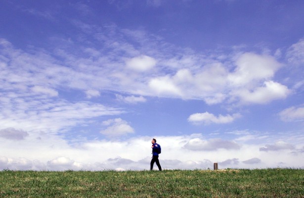 Op zoek naar gladiolen
