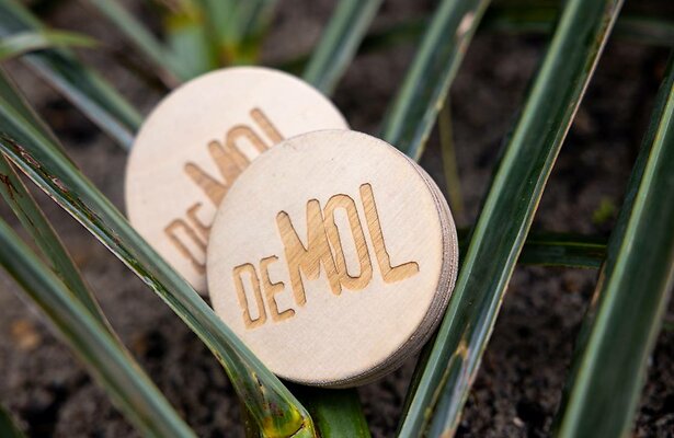 De bekende jokers van Wie Is de Mol?.