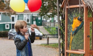 Zappbios: Dikkertje Dap