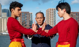 Zappbios: Kung Fu Leeuw