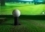 Golf: TGL Golf League