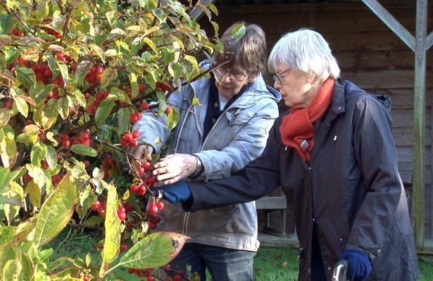 2Doc: Voorgoed samen