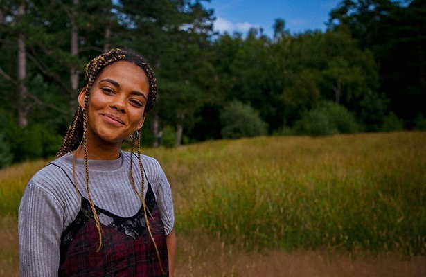 Wildkamperen in Nederland