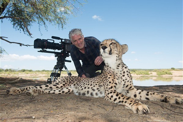 Filmende pinguïns in beeld