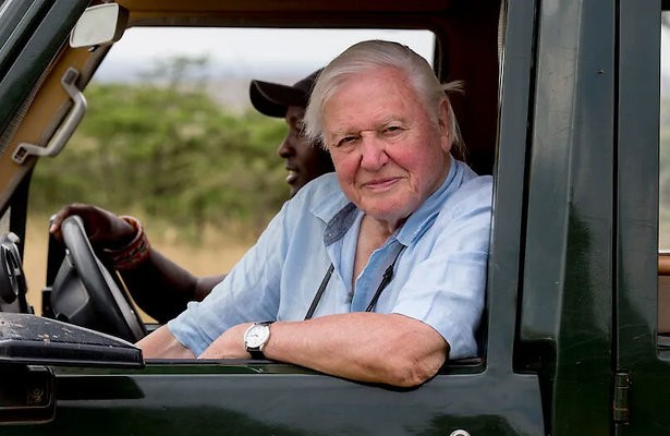 david-attenborough