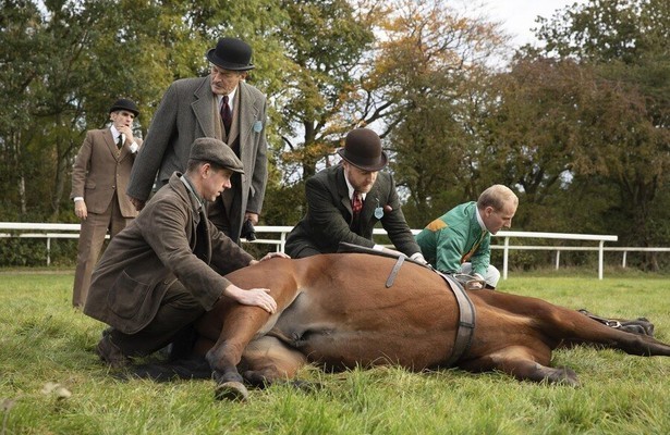 All Creatures Great and Small