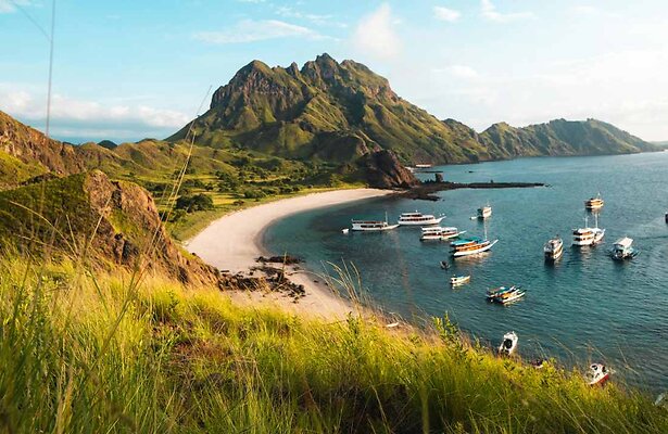 Sfeerafbeelding A.S.S. Anti Survival Show