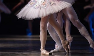 Accident : Un portrait de famille