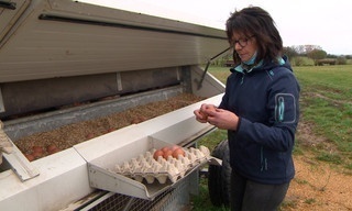 Ackern als Familie - Hoferben in Mecklenburg-Vorpommern