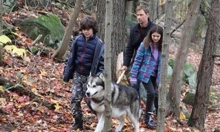 Against the Wild III: The Journey Home