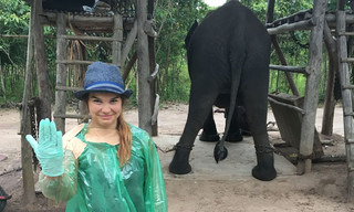 Anna und die wilden Tiere