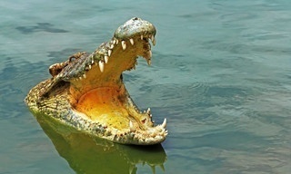 Australia's Land of the Ancients