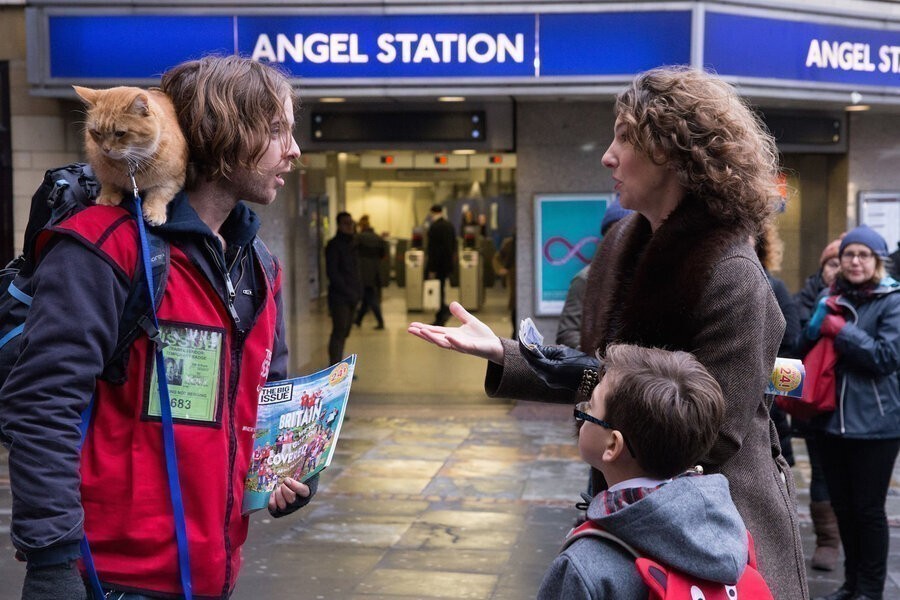 A Street Cat Named Bob