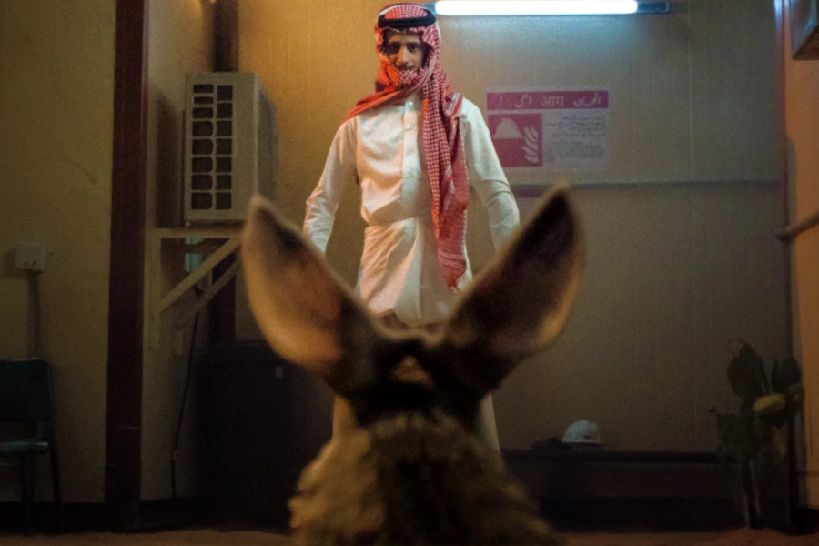 Alkhallat+: The Series