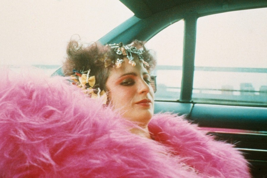 All the Beauty and the Bloodshed