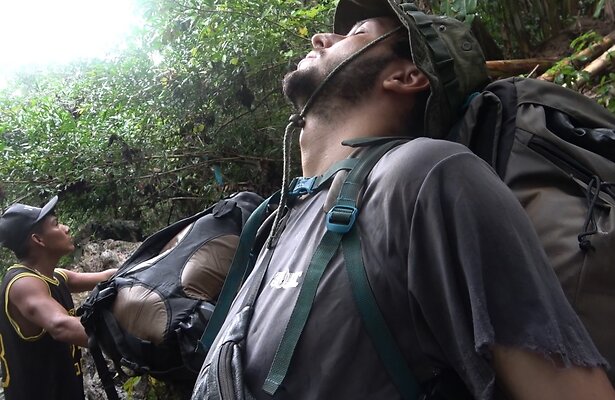 Fight or Flight Special: Darién Gap