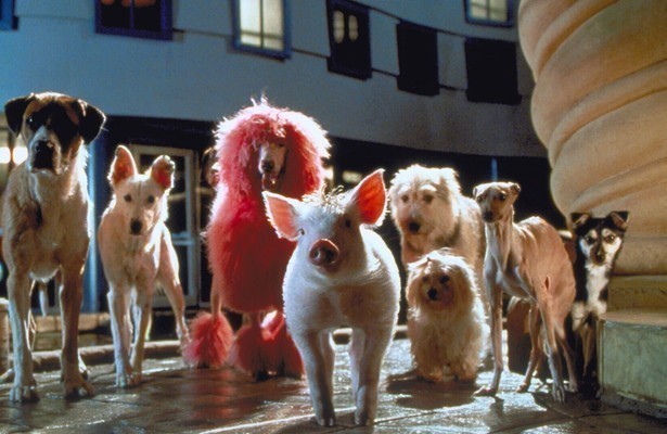 Babe in Babe: Pig in the City