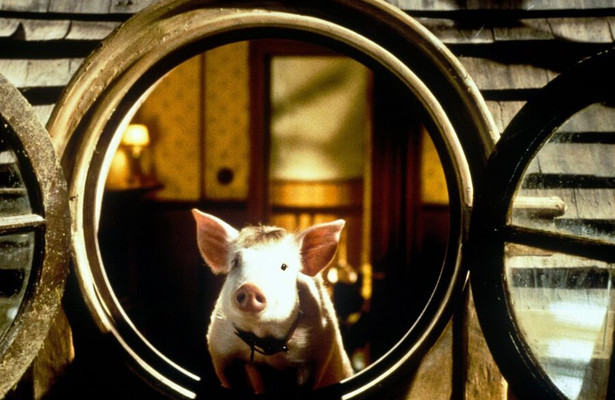Still uit Babe: Pig in the City