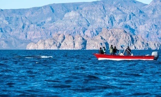 Baja California Sur