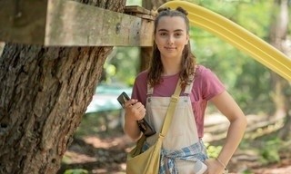 Bestioles en questions