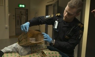 Border control: Sweden