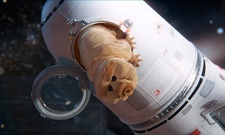 Checker Tobi und das Geheimnis unseres Planeten