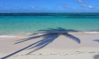 Colors: Capturing America and the Caribbean