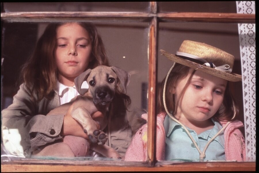 Chestnut: Hero of Central Park