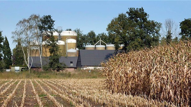 Rellen bij ruiming in Kootwijkerbroek