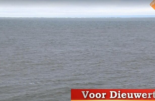 De ode aan Dieuwertje.