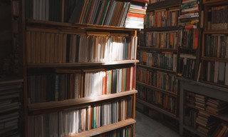 Dans la bibliothèque de