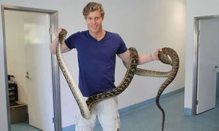 De dierenkliniek Down Under