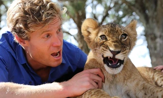 De dierenkliniek Down Under