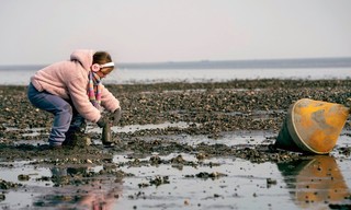 Der Dänemark-Krimi: Rauhnächte