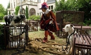 Der gestiefelte Kater