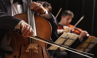 Der Wanderer (arr. Liszt)