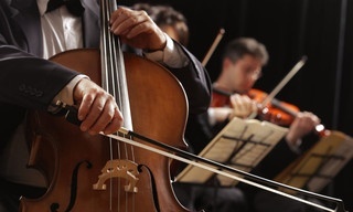 Der Wanderer (arr. Liszt)