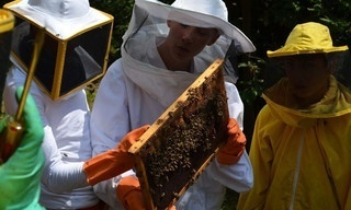 Die Jungs-WG - Sommer. Sonne. Elternfrei