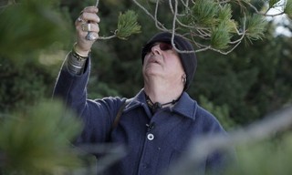 Die Schweiz - Der Geschmack der Berge