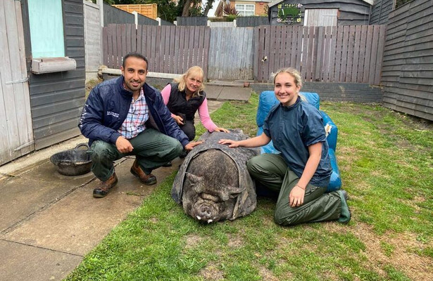 Dierenartsen uit De Dierenarts van Yorkshire