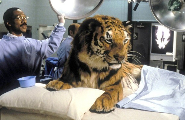 Eddie Murphy als Dr. John Dolittle