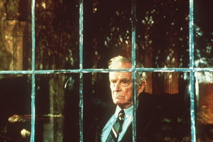 Dagboek van een Oude Dwaas