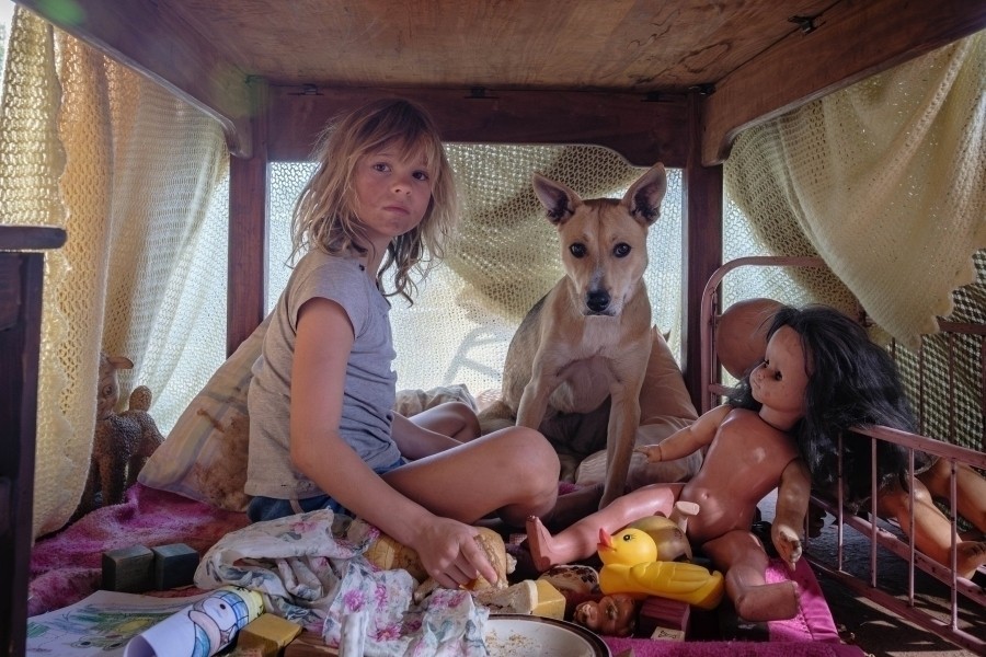 Don't Let's Go to the Dogs Tonight