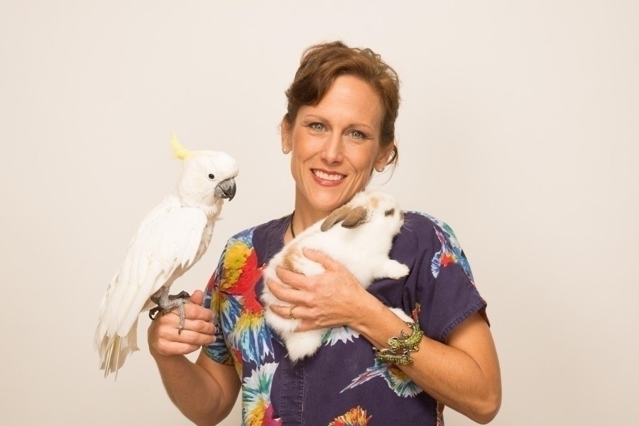 Dr. K's Exotic Animal ER